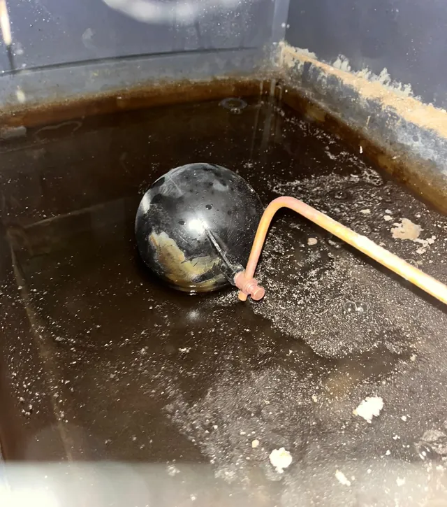 An old cold water storage tank in a loft, with a ball float valve and discoloured water